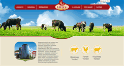 Desktop Screenshot of gozeliyem.com